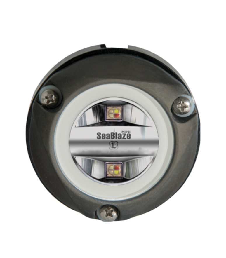 Zambezi Mini Surface Mount Underwater Light